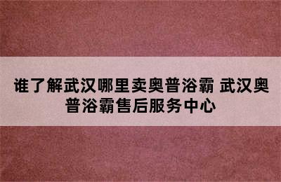 谁了解武汉哪里卖奥普浴霸 武汉奥普浴霸售后服务中心